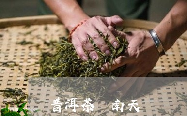 普洱茶 南天/2023042835293